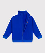 blau PERSE