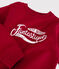 Kinder-Sweatshirt aus Molton für Jungen rot TERKUIT