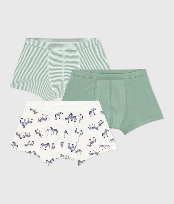 Set Kinder-Boxershorts aus Baumwolle mit überzogenem Bund mit Zebra-Motiv variante 1