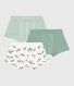 Set Kinder-Boxershorts aus Baumwolle mit überzogenem Bund mit Zebra-Motiv