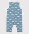Langer Baby-Overall aus Molton blau ROVER/weiss MARSHMALLOW