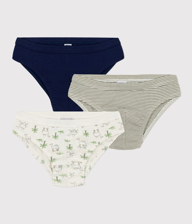 3er-Set Slips aus Baumwolle f&uuml;r Jungen, mit Dromedaren vielfarbig