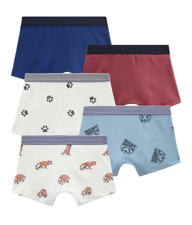 Set mit 5 Boxershorts f&uuml;r kleine Jungen vielfarbig