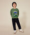 Kinder-Sweatshirt aus Molton für Jungen grün PALMERAIE
