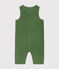 Baby-Overall aus Cord grün PALMERAIE