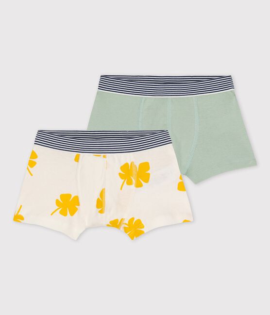 2er-Set Boxershorts aus Baumwolle mit großen Palmen für Jungen variante 1