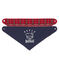 2er-Set Baby-Bandana-Lätzchen für Jungen variante 1