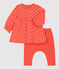 Baby-Kleid mit Leggings aus Bio-Baumwolle für Mädchen OURSIN/ ECUME