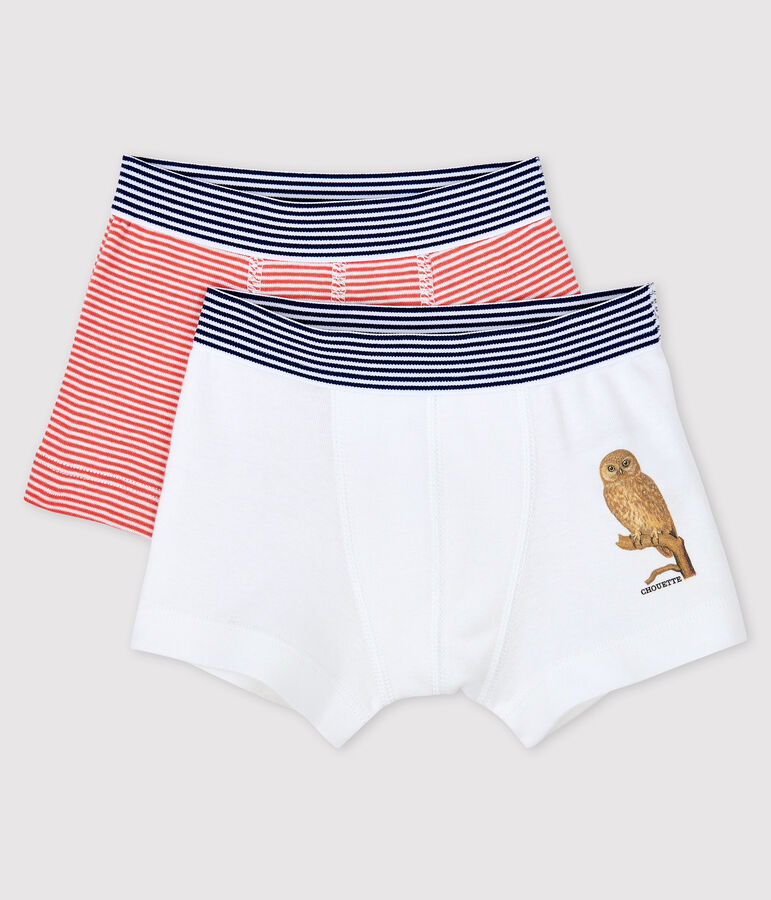 2er-Set Boxershorts f&uuml;r kleine Jungen Petit Bateau x Deyrolle vielfarbig