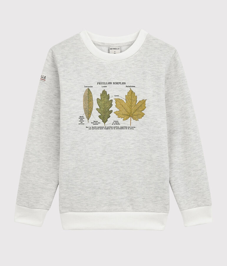 Kinder Sweatshirt Junge Petit Bateau x Deyrolle beige MONTELIMAR CHINE