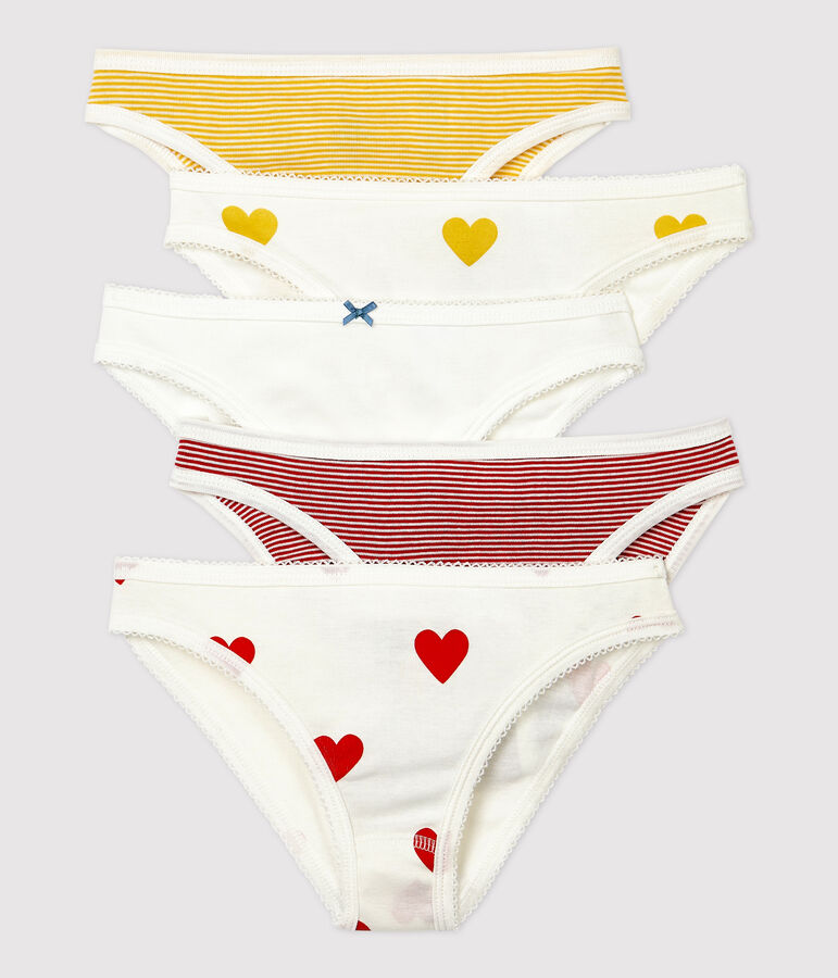 Multipack mit 5 Damen-Slips aus Baumwolle vielfarbig