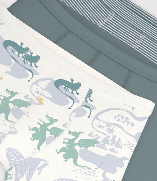 Set Kinder-Boxershorts mit &uuml;berzogenem Bund aus Baumwolle mit Drachenmotiv vielfarbig