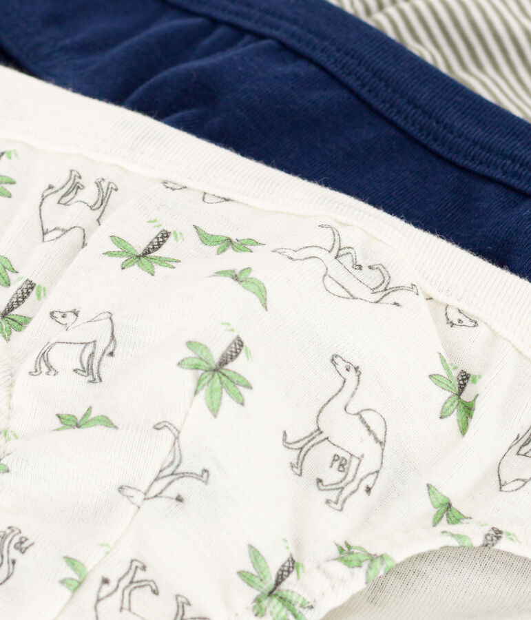 3er-Set Slips aus Baumwolle f&uuml;r Jungen, mit Dromedaren vielfarbig