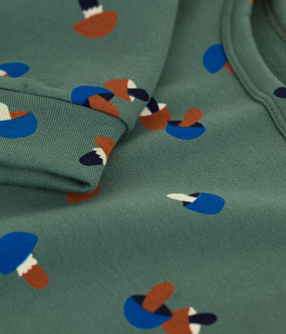 Bedrucktes Kinder-Sweatshirt aus Molton für Jungen grün VALLEE/naturfarben MULTICO