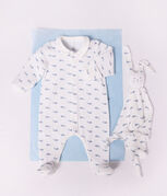 blau/blau