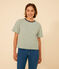 Damen-T-Shirt Le Boxy aus gestreifter Baumwolle grün CROCO/ AVALANCHE