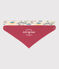 2er-Set Baby-Bandanas mit Entdecker-Motiv variante 1