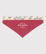 2er-Set Baby-Bandanas mit Entdecker-Motiv