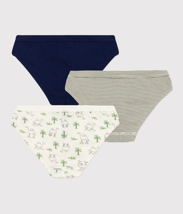 3er-Set Slips aus Baumwolle f&uuml;r Jungen, mit Dromedaren vielfarbig