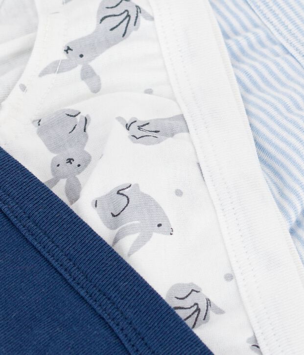 Lot de 3 slips en coton vielfarbig