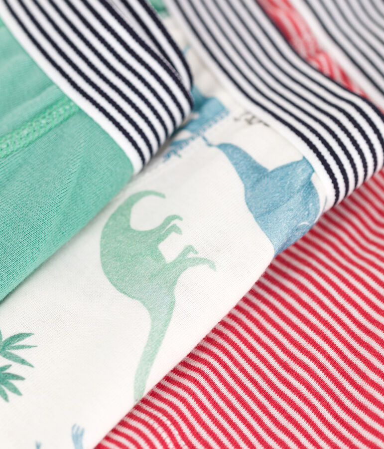 3er-Set Kinder-Slips aus Baumwolle mit Dinos vielfarbig