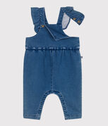 blau BLEU DELAVE