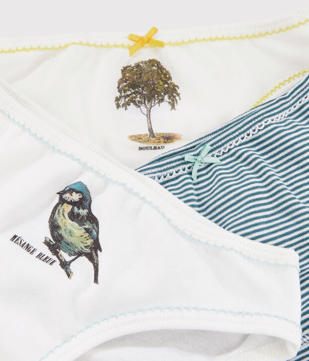 3er-Set Unterhosen aus Rippstrick f&uuml;r kleine M&auml;dchen Petit Bateau x Deyrolle vielfarbig