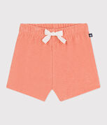 orange ABRICOT