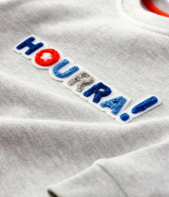 Baby-Sweatshirt aus Molton. grau BELUGA CHINE