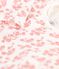 3er-Baby-Set aus Bio-Baumwolle mit Hawaiimuster weiss MARSHMALLOW/ PAPAYE