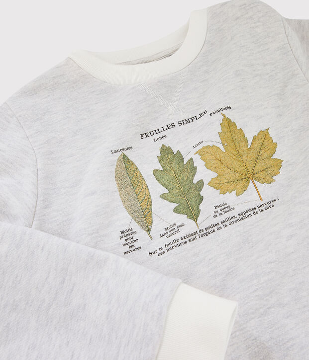 Kinder Sweatshirt Junge Petit Bateau x Deyrolle MONTELIMAR CHINE