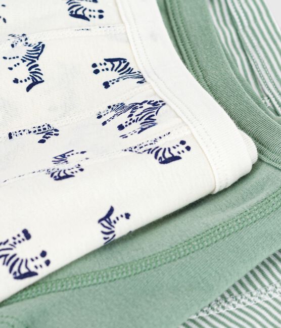 Set Kinder-Boxershorts aus Baumwolle mit überzogenem Bund mit Zebra-Motiv variante 1