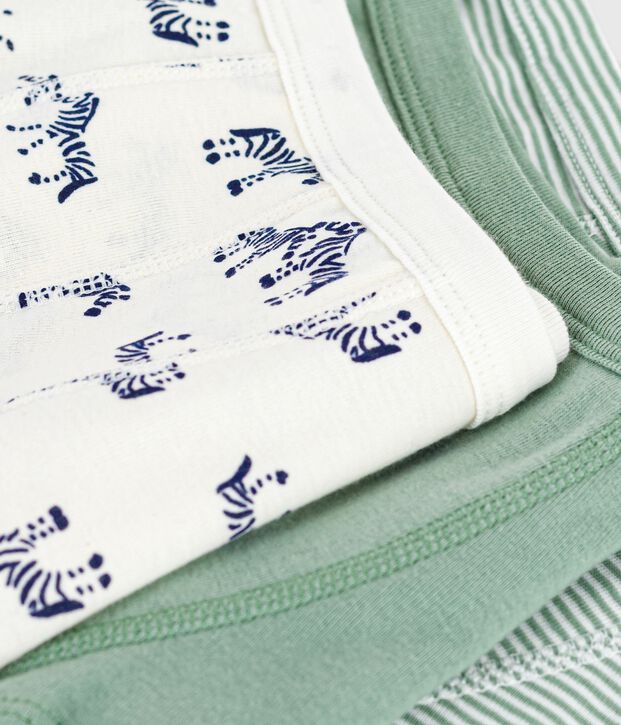 Set Kinder-Boxershorts aus Baumwolle mit &uuml;berzogenem Bund mit Zebra-Motiv vielfarbig