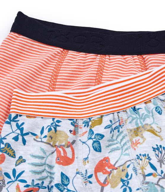 Duo Boxershorts für kleine Jungen variante 1