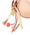 Kinder-Tasche Mädchen COPPER