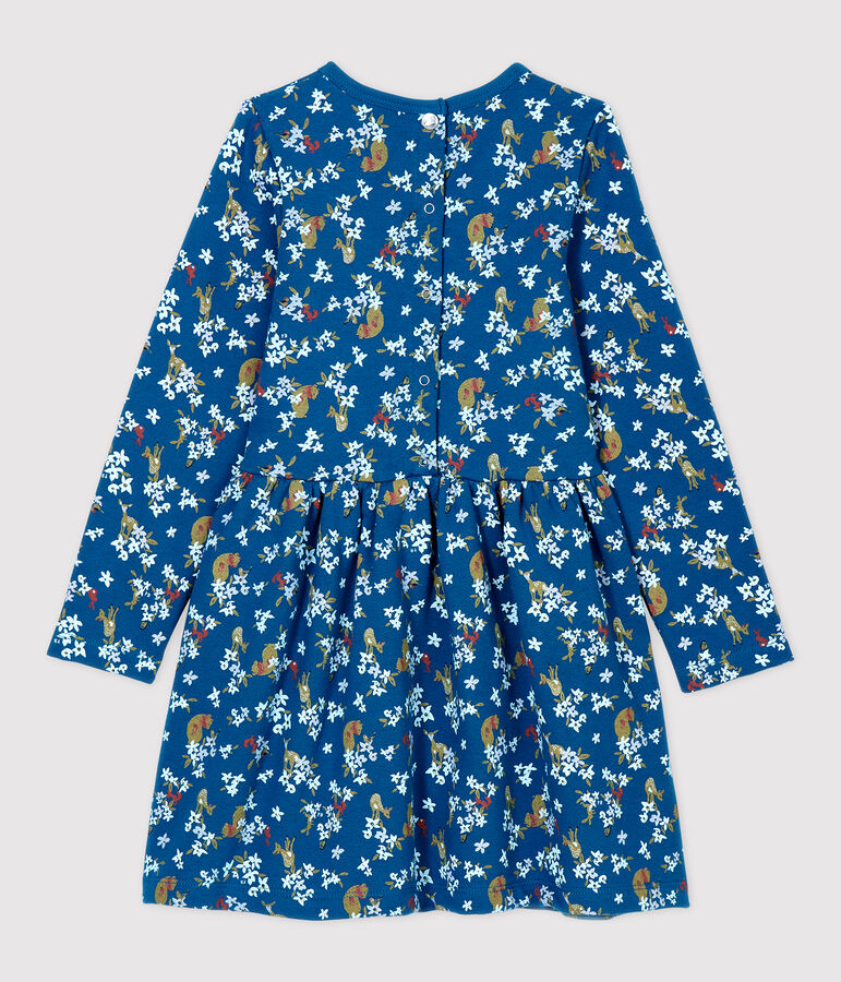 Lang&auml;rmeliges Kinderkleid aus Molton f&uuml;r M&auml;dchen blau/vielfarbig