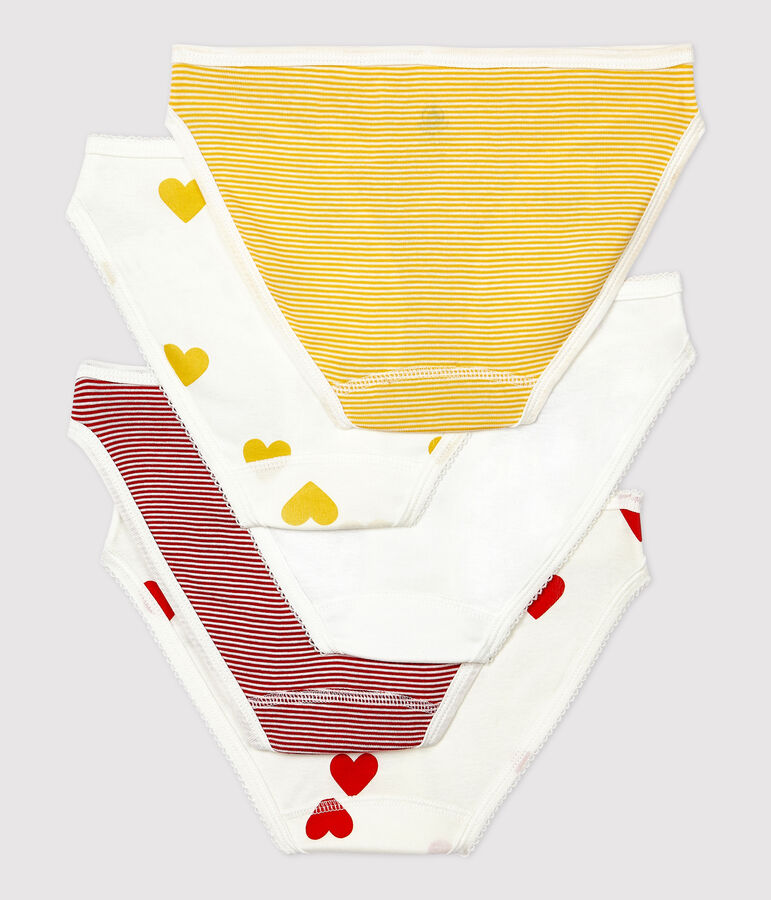 Multipack mit 5 Damen-Slips aus Baumwolle vielfarbig