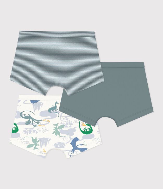 Set Kinder-Boxershorts mit &uuml;berzogenem Bund aus Baumwolle mit Drachenmotiv vielfarbig