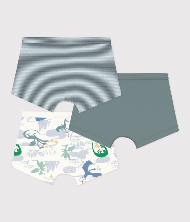 Set Kinder-Boxershorts mit &uuml;berzogenem Bund aus Baumwolle mit Drachenmotiv vielfarbig
