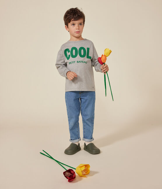 Langärmeliges Kinder-T-Shirt aus feinem Jersey für Jungen grau CHATON CHINE