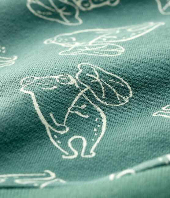 Baby-Sweatshirt aus gebürstetem Molton für Jungen grün VALLEE/ VALLEE CLAIR