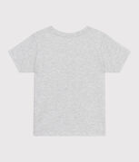 grau BELUGA CHINE