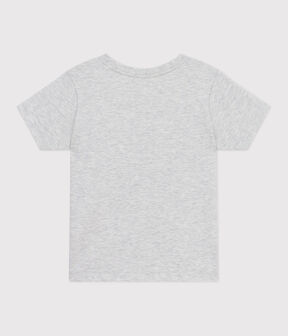grau BELUGA CHINE