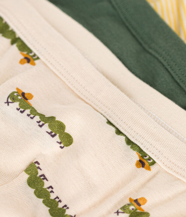 3er-Set-Slips aus Baumwolle mit Tausendf&uuml;&szlig;ler-Motiv f&uuml;r jungen vielfarbig