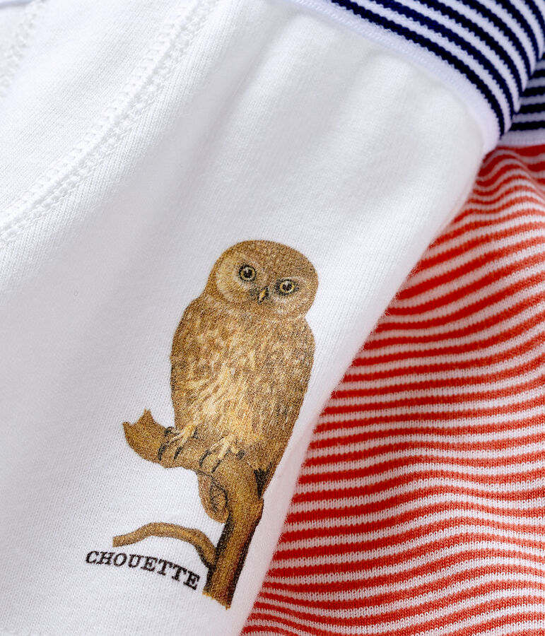 2er-Set Boxershorts f&uuml;r kleine Jungen Petit Bateau x Deyrolle vielfarbig