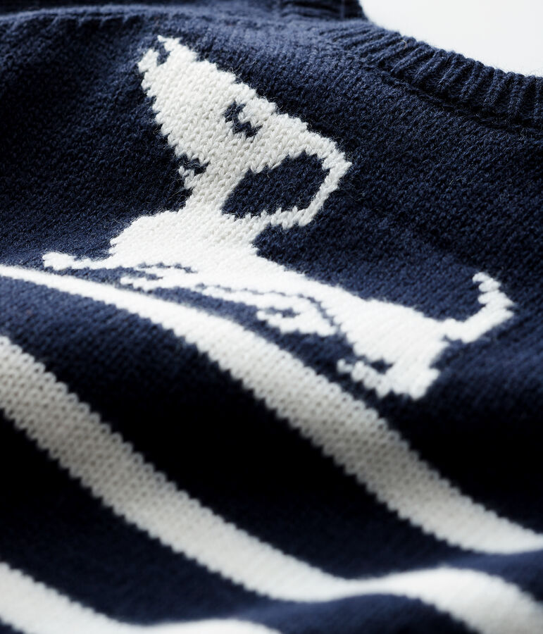 Gestreifter Baby-Pullover mit Muster f&uuml;r Jungen blau/weiss