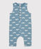 Langer Baby-Overall aus Molton blau ROVER/weiss MARSHMALLOW