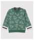 Baby-Sweatshirt aus gebürstetem Molton für Jungen