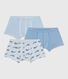 Set Kinder-Boxershorts mit überzogenem Bund aus Baumwolle mit Walmotiv