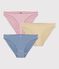 Set Damen-Slips aus Baumwolle mit Streifen vielfarbig